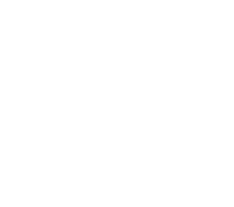 the moth logo